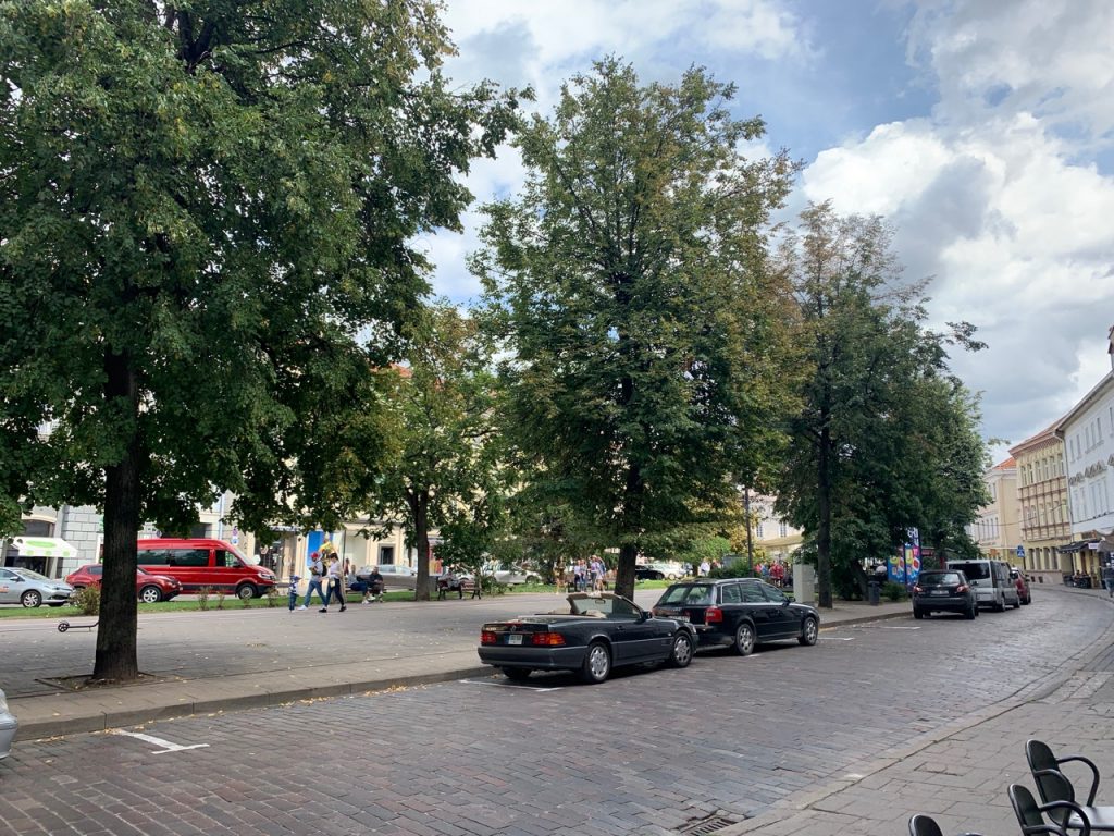 リトアニア・ヴィリニュスの街並み８