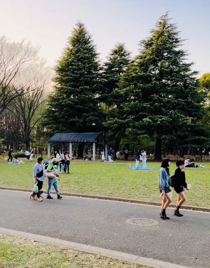 代々木公園の様子