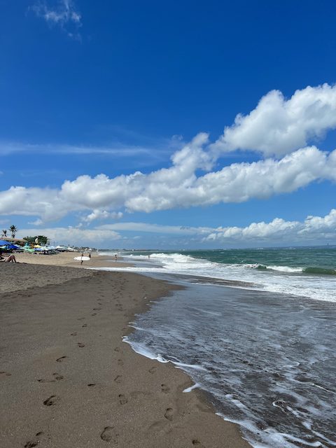 Canggu_Beach(昼間)